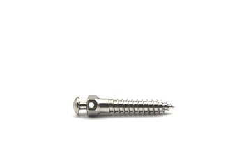 mini-screw